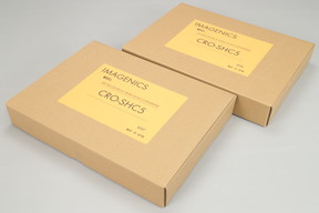 2026年04月28日にエコデジが買取したIMAGENICS CRO-SHC5の画像
